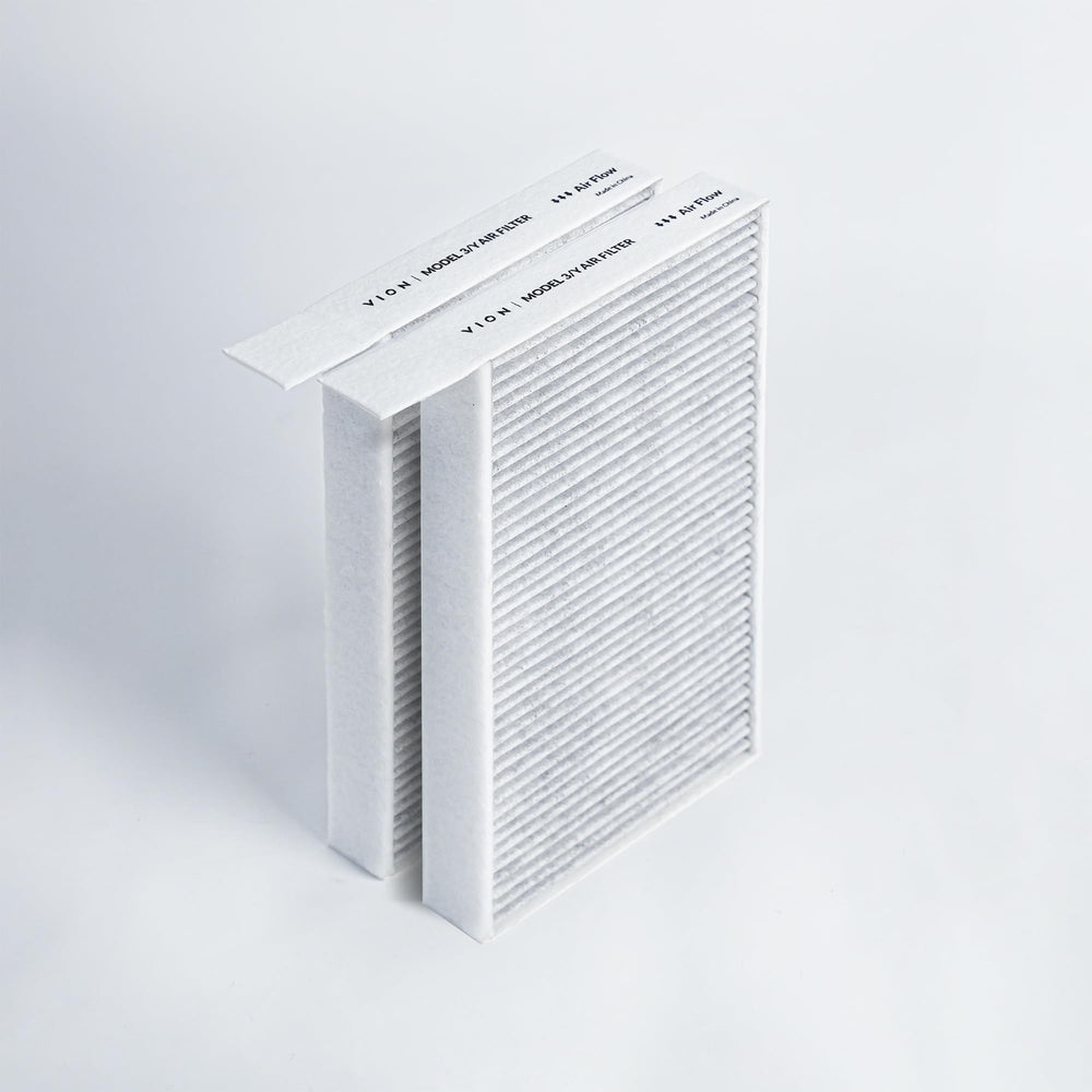 VION filter in driving cabin scene indicating fresher in-car air