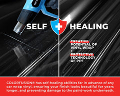 VViViD 1ft x 5ft roll held in hand showing scale and versatile coverage