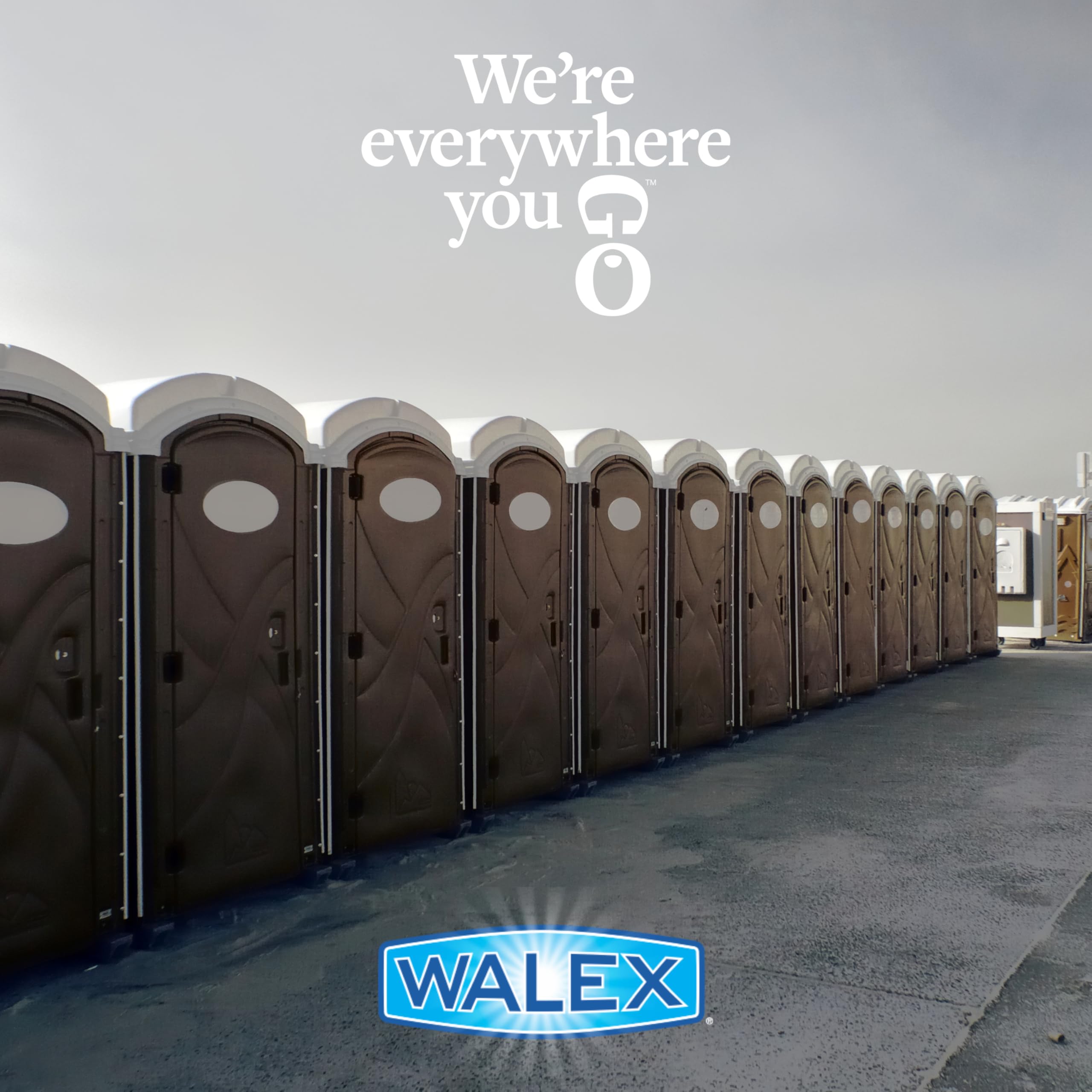 Walex label close-up highlighting Porta-Pak commercial formula details