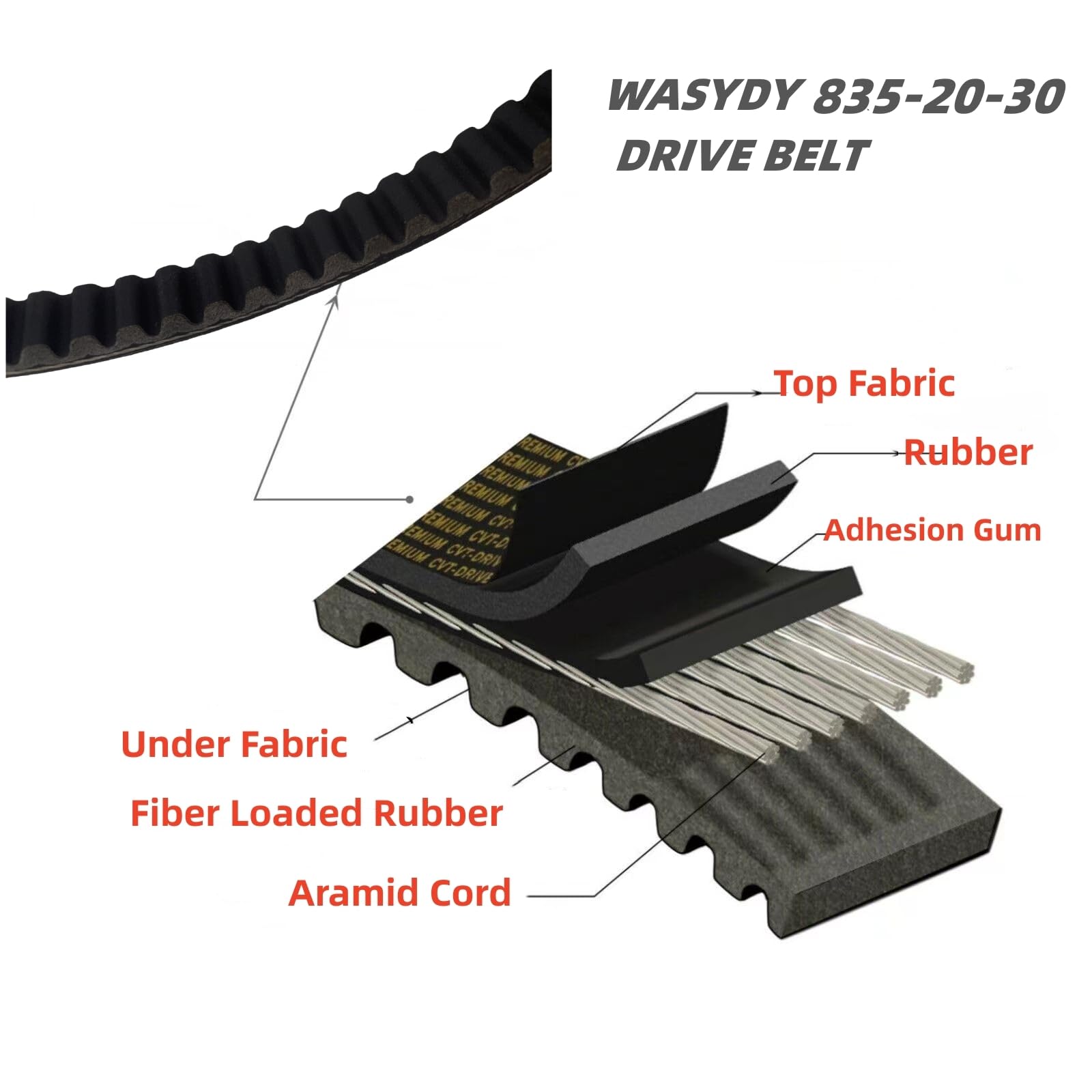 Wasydy belt beside ruler for scale helping confirm correct measurement