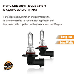 WEELMOTO bulb next to ruler for size scale showing exact 9005 fitment