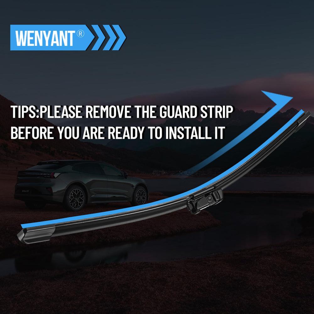 wenyant packaged set open view showing two blades ready for replacement