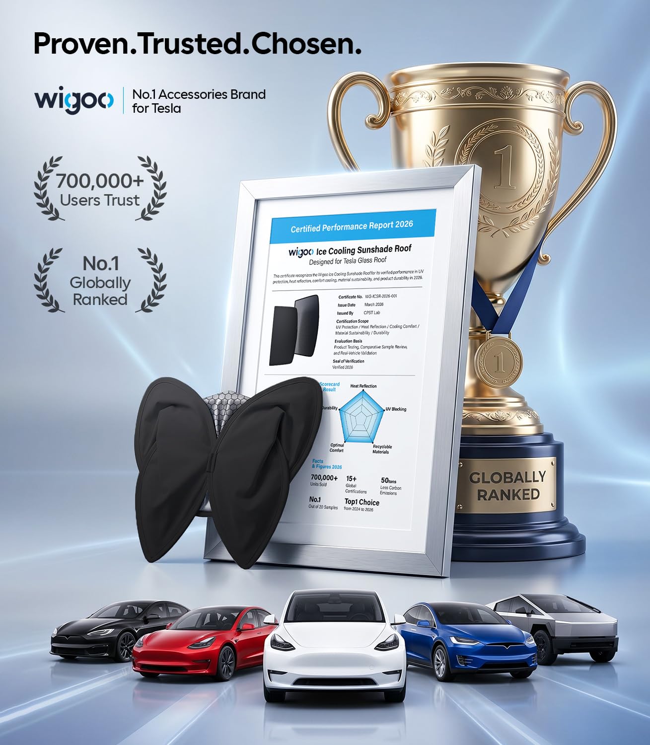 Wigoo clips and manual laid out showing included hardware and guidance