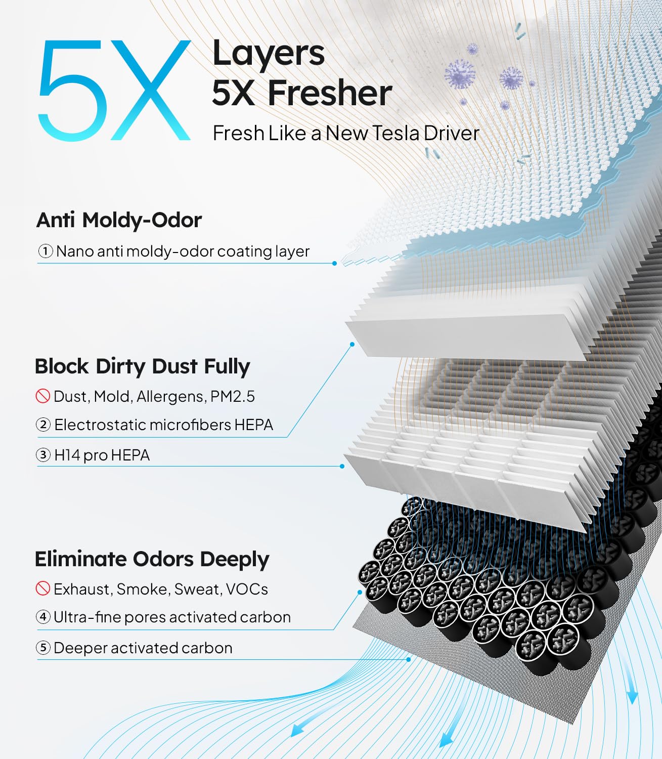 Wigoo view of activated carbon layers absorbing odors and VOCs