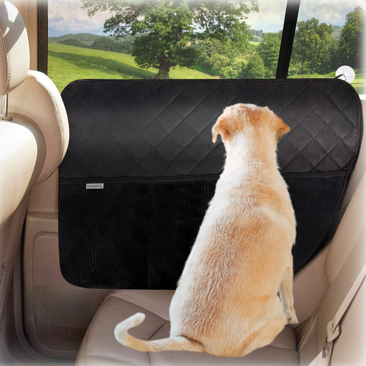 Winbate front view of both car door protectors showing dual-pack convenience