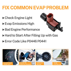 Yinlowa VSV rear label with OE reference for easy verification