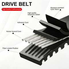 ZHENGHE belt cross-section close-up showing reinforced polyester core strength